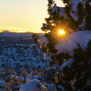 Setting sun shines through a snow-covered evergreen outside of Santa Fe, NM. The Santa Fe Therapist sends greetings for a Joyeux Noel, or Merry Happy Holidays, your way. In this Living From Happiness episode, she talks with scientist-turned-baker Marcel Remillieux, from Santa Fe's Mille -- the French cafe and creperie. If you're struggling with toxic people, too much anxiety or stress or sadness, the Santa Fe Therapist can help. Online therapy throughout New Mexico. 87505, 87508, 87506