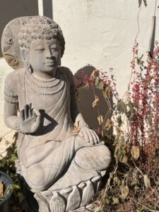statue of Buddha in a Santa Fe late-fall garden. Grieving & the holidays can feel especially difficult. The Santa Fe Therapist offers online grief counseling. Listen to the podcast here. 87505, 87506, 87508